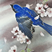 Eriko Tomoda Gallery